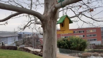 krmítko
